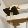 DSCF0337