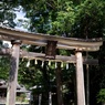 土佐神社　鳥居　DSC06535