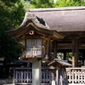 土佐神社　DSC06543