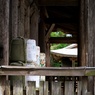 土佐神社　DSC06555