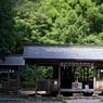 土佐神社　DSC06556