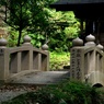 土佐神社　DSC06582