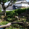 高知城　DSC06655