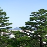 高知城　DSC06678