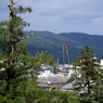 高知城　DSC06717