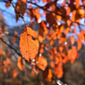 03-DSC_9853