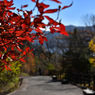 36-DSC_9976