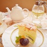 とろけるような甘い時間をどうぞ