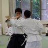 IMGP5272 (640x427)