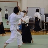 IMGP5290 (640x427)