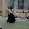 IMGP5308 (640x427)
