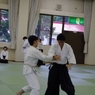 IMGP5358 (640x427)