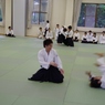 IMGP5378 (640x427)