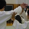 IMGP5392 (640x427)