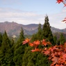 紅葉　スキー場より黒笠山方面