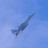 航空観閲式3