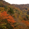 紅葉ももう終わり　見の越