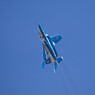 航空観閲式事前公開1