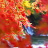 秋の不動の滝 VI