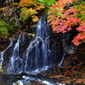 秋の不動の滝 VIII