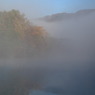 霧の湖畔ナウ