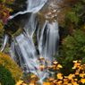 12-DSC_0266