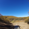 入笠湿原
