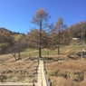 入笠湿原２