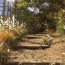 登山口