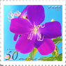 花切手＜2014-45＞＊シコンノボタン