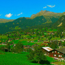 aaa