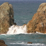 日本海の岩