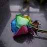 路上の花束
