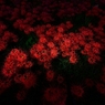 Crimson