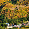 秋山郷 大赤沢の紅葉