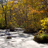 GUNMETAL　RIVER
