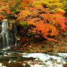 秋の不動の滝 XI