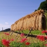 千早赤阪村2014秋