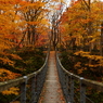 吊り橋の秋 I