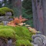 時を感じ