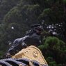 謎の霊獣恙
