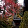 赤く萌え