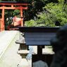 境内から