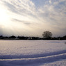雪野原