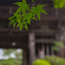 桐生市 2014-11(01)