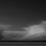 _MG_1921