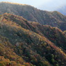 紅葉台ナウ
