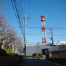 IMGP3166