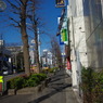 IMGP3186