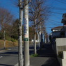 IMGP3198